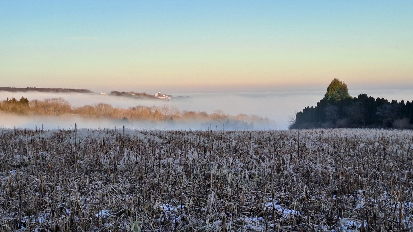 Sonne, Nebel und klirrender Frost: Weihnachtsspaziergang in Ulm mit Blick auf Oberelchingen (25.12.)