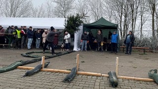 Die Teilnehmenden geben alles beim Christbaum-Weitwurf in Dischingen-Eglingen. Aus einem Kreis heraus wirft ein Mann Mann den Tannenbaum so weit wie möglich geworfen.