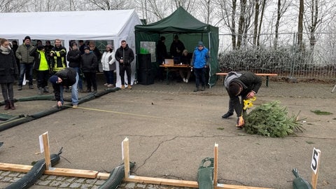 Zwei Männer messen mit einem Maßband, wie weit der Tannenbaum geflogen ist. 