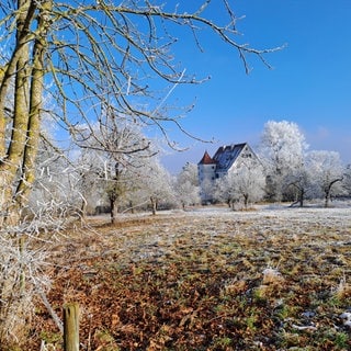 Sonnig und frostig war der erste Tag des neuen Jahres 2025: Neujahrsspaziergang am Schloss Obertalfingen (1.1.)