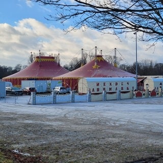 Weihnachtszirkus Ulm