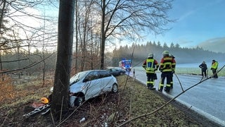 Auch dieses Auto landete an einem Baum: Am Donnerstagfrüh haben sich vor allem im Alb-Donau-Kreis zahlreiche Glätteunfälle ereignet - bei Plusgraden.