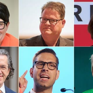 Diese sechs Kandidatinnen und Kandidaten haben es ins Europaparlament geschafft 