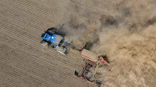 Ein Landwirt fährt mit einem Traktor und einer Drille über den trocken Ackerboden und bringt Rapssaat in den Boden.