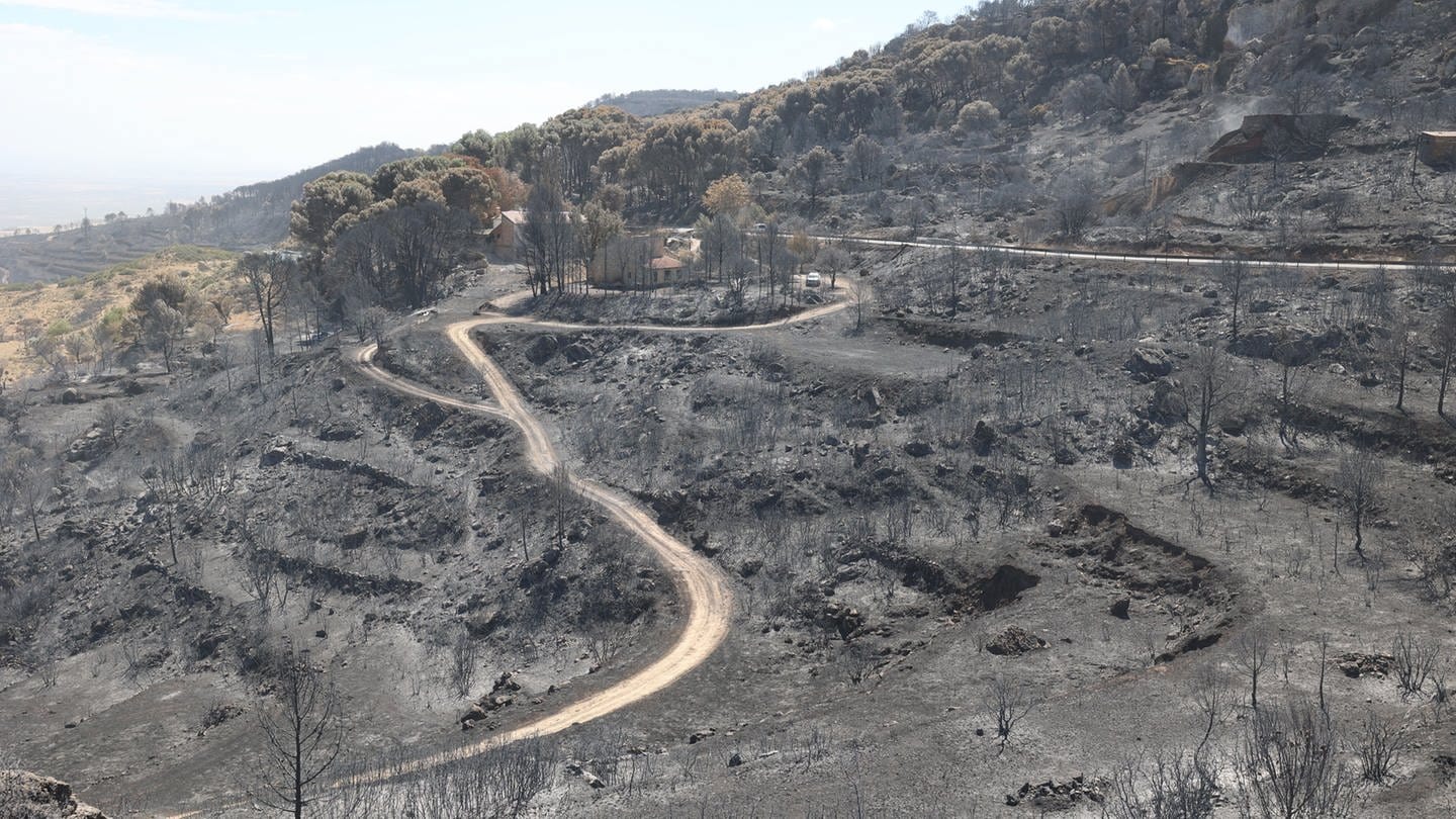 Halbinsel in Flammen: verkohlte Landschaften in Spanien und Portugal