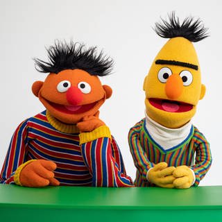 Ernie und Bert: Aushängeschilder der Sesamstraße