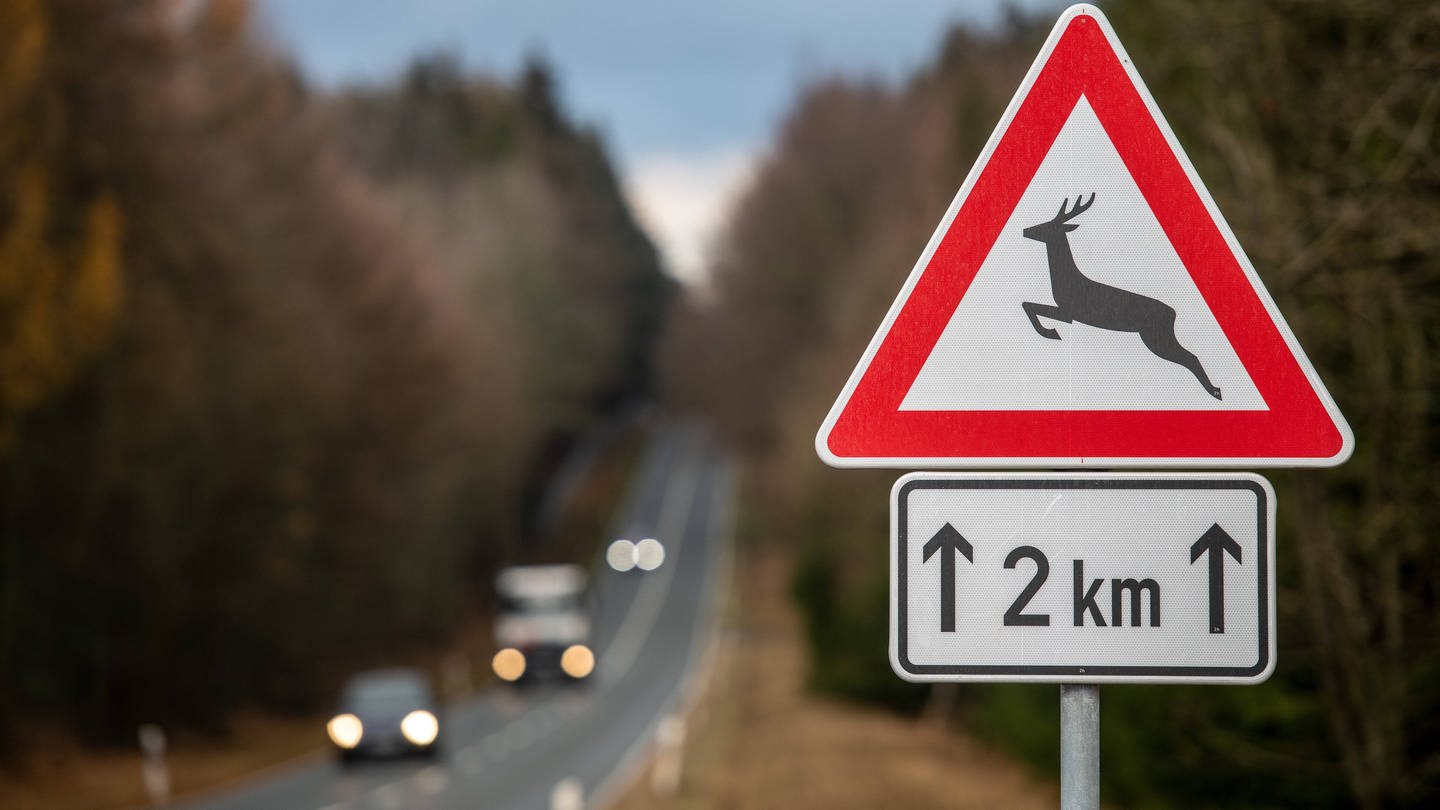 Verkehrszeichen Achtung Wildwechsel an einer Straße im Erzgebirge.