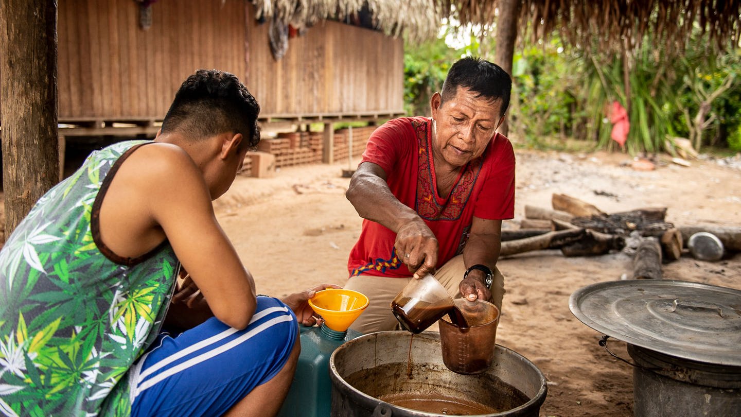 Ayahuasca