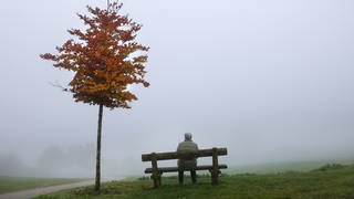 Ein älterer Mensch sitzt auf einer Bank im Nebel. Blickrichtung von hinten.