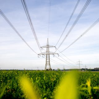 Ein Strommast steht auf einem Feld