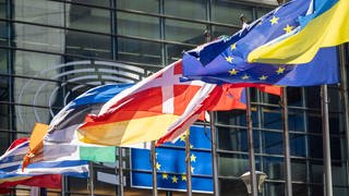 Die Flaggen der europäischen Mitgliedsstaaten wehen vor dem Gebäude des Europäischen Parlaments in Brüssel.