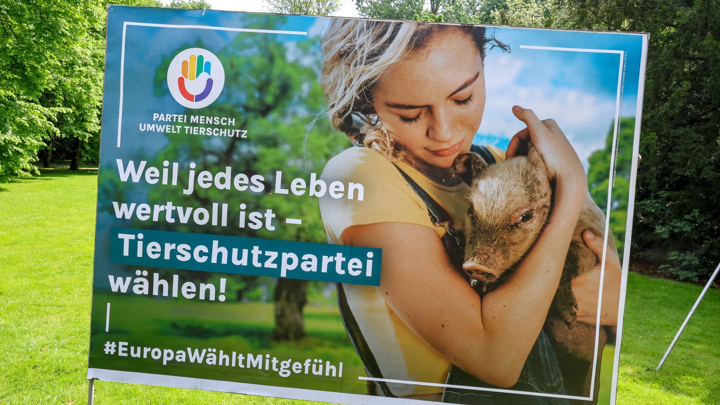 Wahlplakat der Partei Mensch Umwelt Tierschutz vor der Europawahl 2024