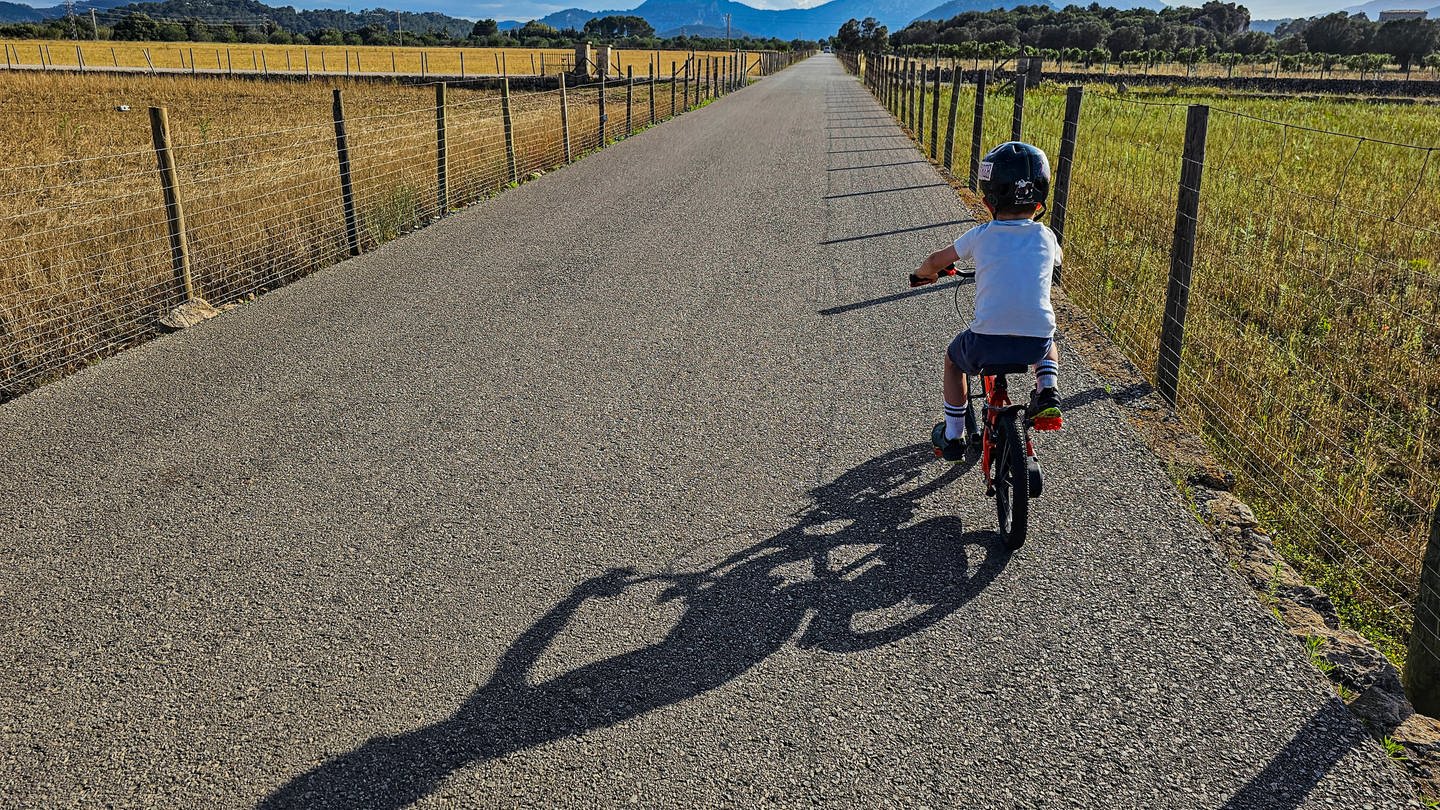 Ein Kind fährt mit dem Fahrrad durch eine Landschaft mit Wiesen und Feldern