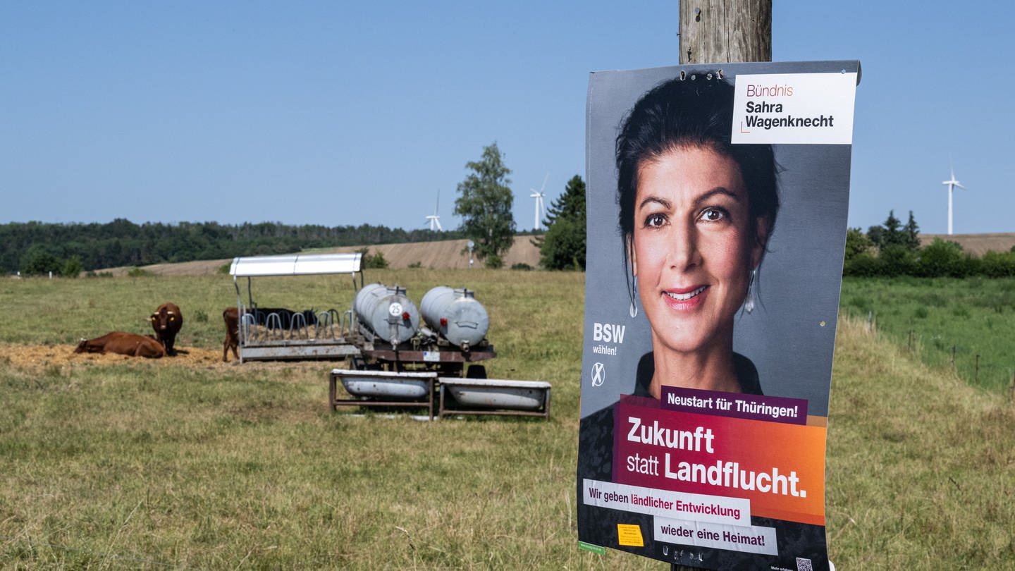 Ein Wahlplakat der Partei Bündnis Sahra Wagenknecht (BSW) mit dem Slogan «Zukunft statt Landflucht» hängt an einem Pfahl vor einer Wiese mit Kühen und Windrädern