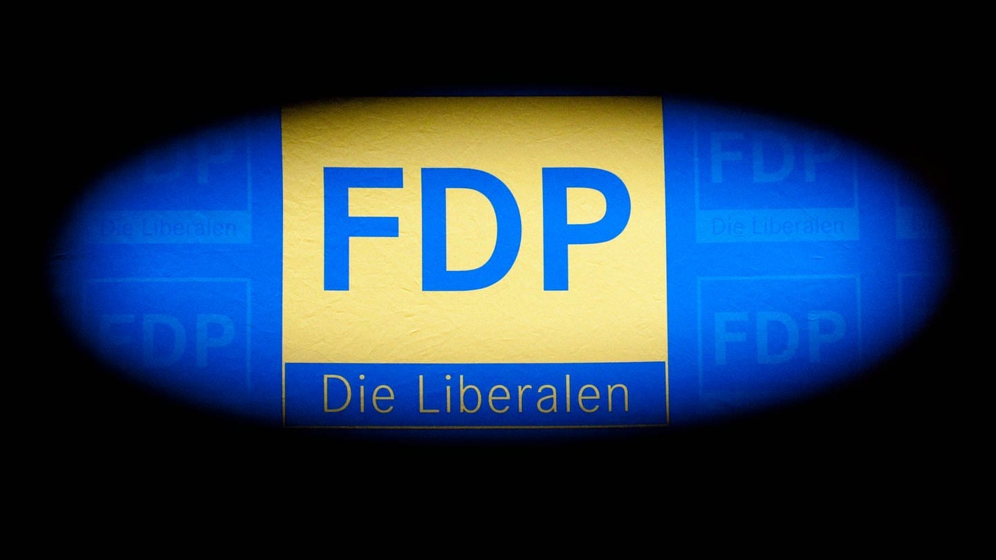 Durch eine Stuhllehne hindurch fotografiert ist das FDP-Logo zu sehen (Archivbild)