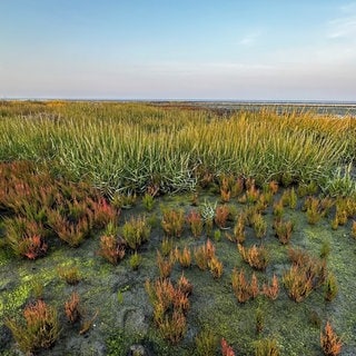 Das Wattenmeer vor der Nordseeinsel Sylt