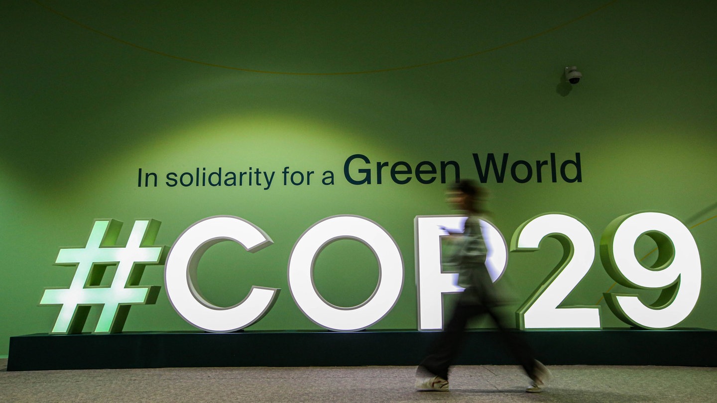 COP29