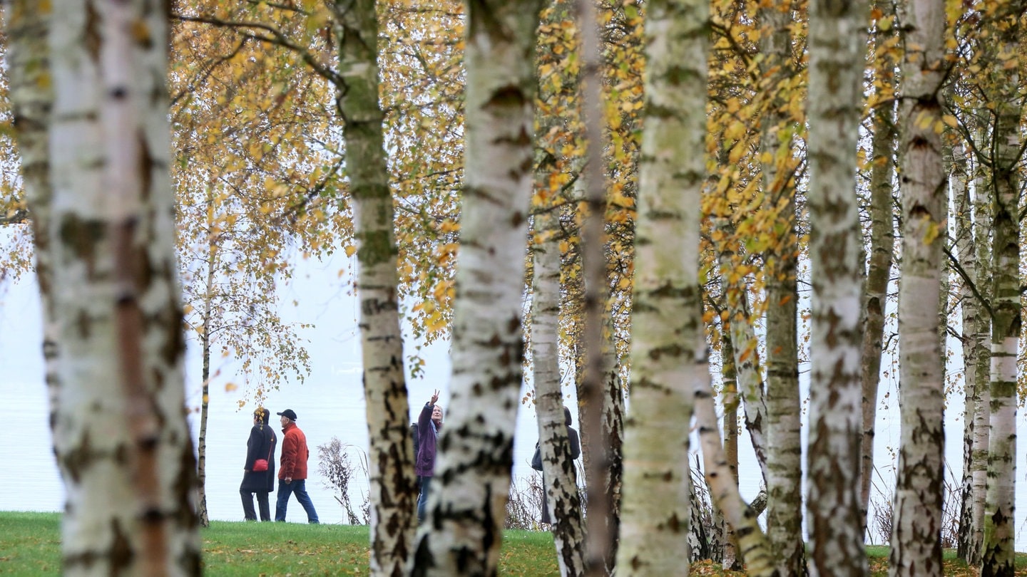 Spaziergänger an einem See mit einem Birkenwald im Vordergrund