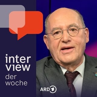 Gregor Gysi, Die Linke, nimmt an einer Ferseh-Diskussion teil und argumentiert.