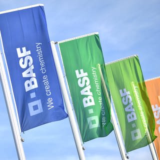 Bunte Fahnen mit der Aufschrift "BASF" wehen vor dem Konferenzgebäude des Chemiekonzerns BASF im Wind. 