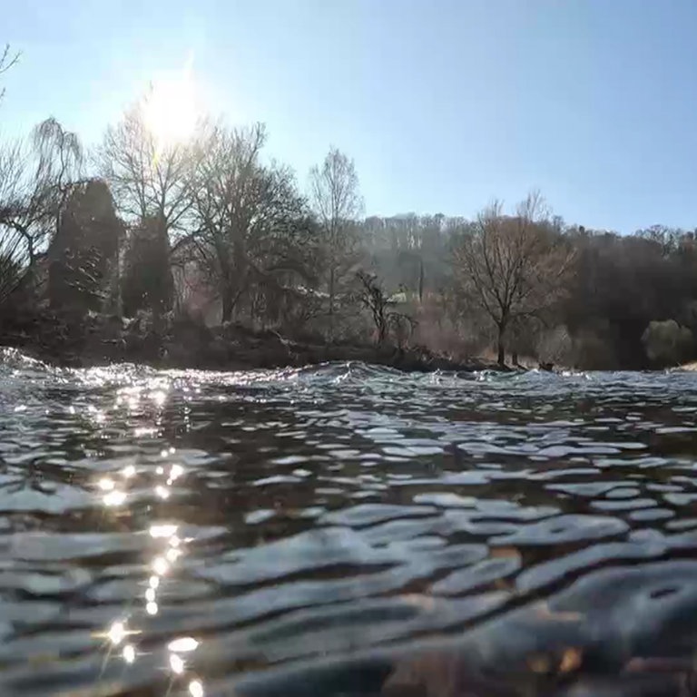 Rheinland-Pfalz Wetter Vom 14.2.2023 - SWR Aktuell