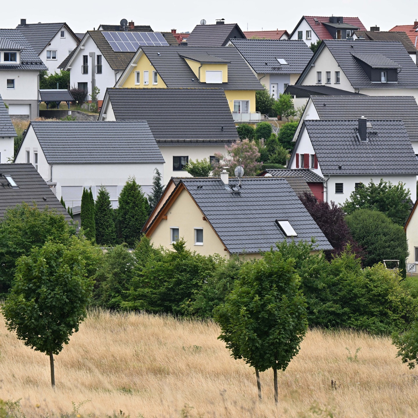 FAQ: Grundsteuer-Erklärung - So Geht Es In RLP Nun Weiter - SWR Aktuell