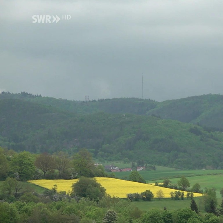 Rheinland-Pfalz Wetter Vom 9.5.2023 - SWR Aktuell