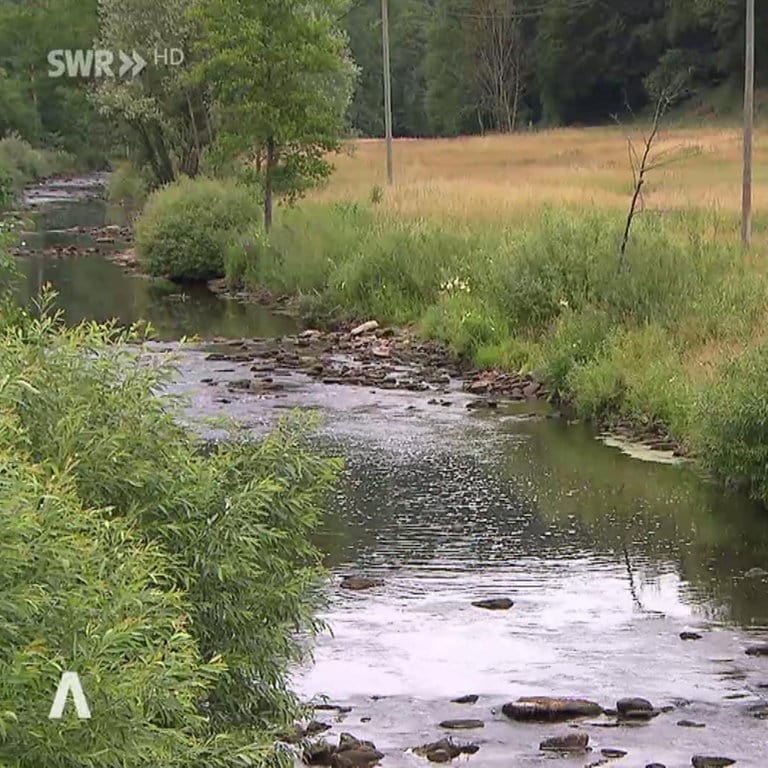 Rheinland-Pfalz Wetter Vom 28.6.2023 - SWR Aktuell