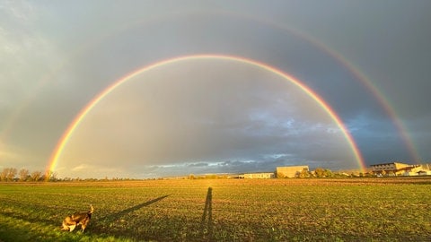 Regenbogen