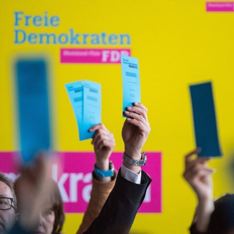 Parteitag FDP RLP: Mehr Digitalisierung, Weniger Bürokratie - SWR Aktuell