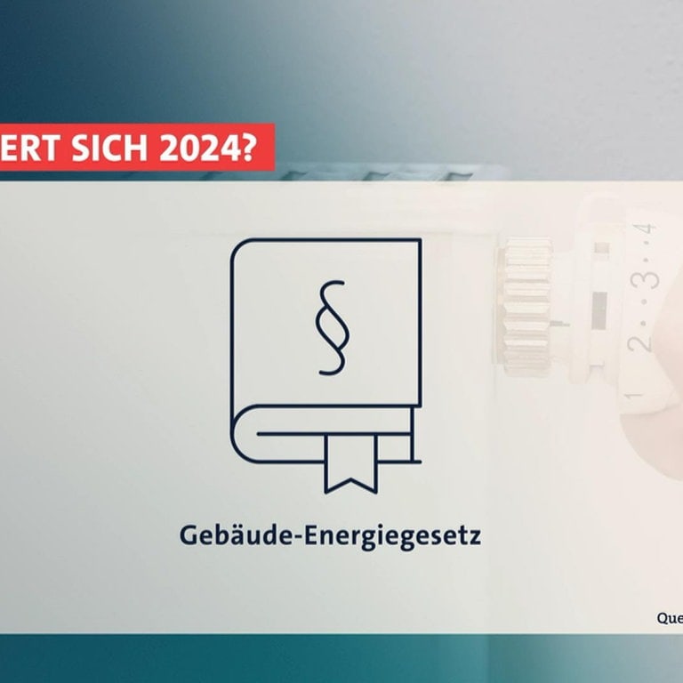 Das Kommt 2024: Heizungsgesetz, Mehr Lohn Und Bürgergeld - SWR Aktuell