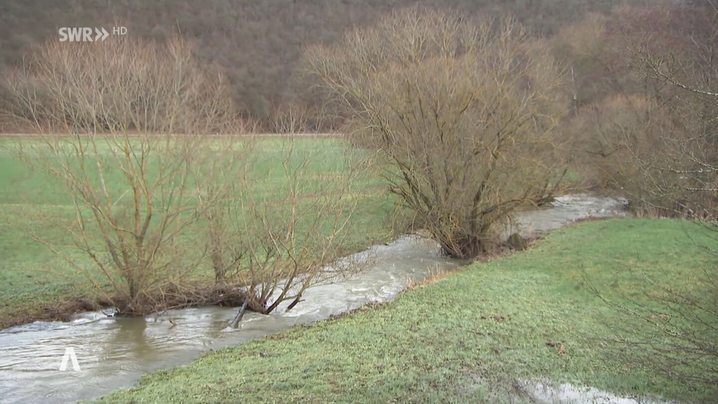 Rheinland-Pfalz Wetter Vom 05.01.2024 - SWR Aktuell