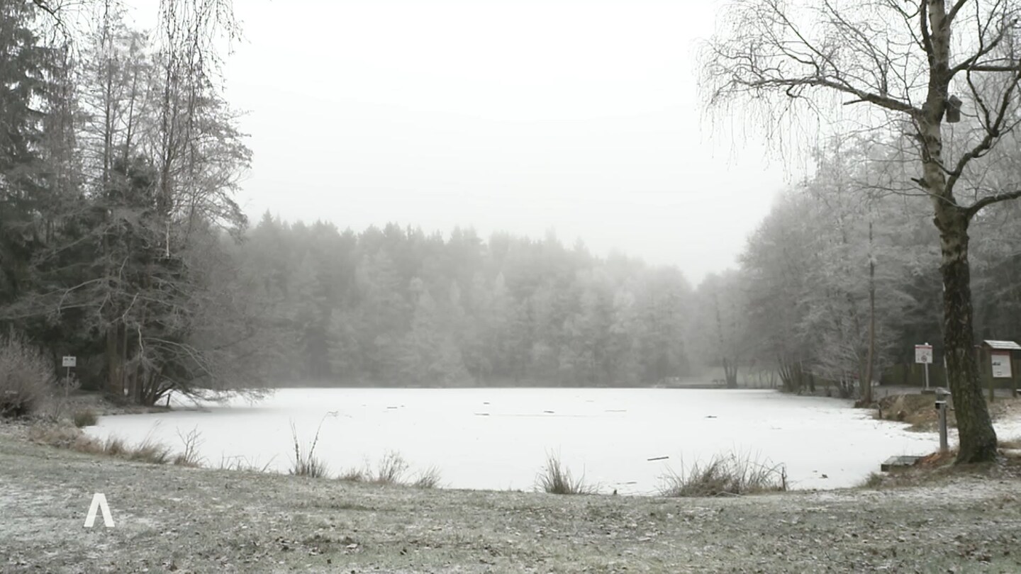 Rheinland-Pfalz Wetter Vom 12.01.2024 - SWR Aktuell