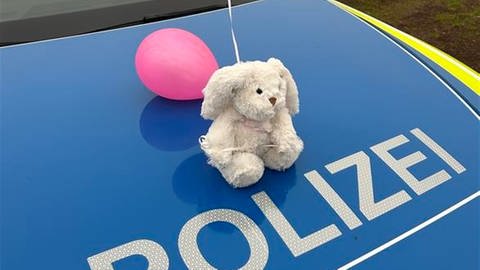 Kuscheltier-Hase sitzt auf Polizeiwagen.
