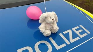 Kuscheltier-Hase sitzt auf Polizeiwagen.