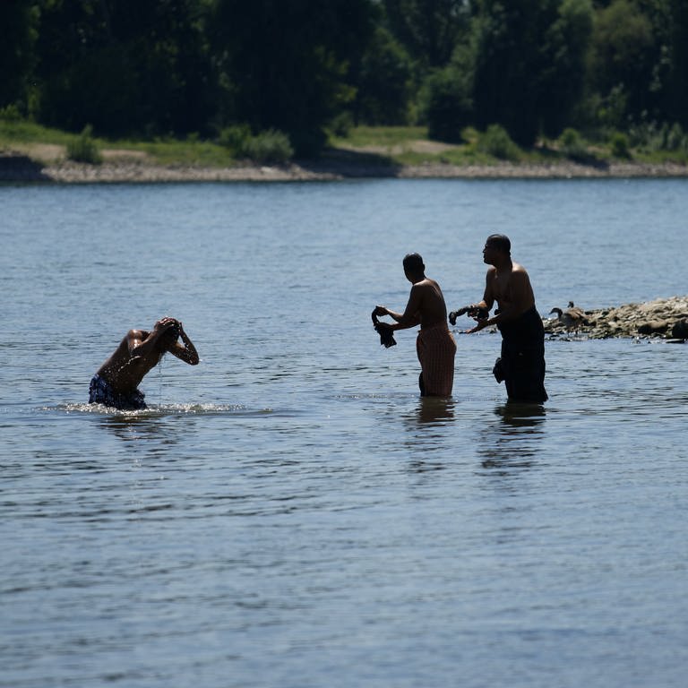 Badegäste genießen das heiße Frühsommerwetter im Wasser des Rheins