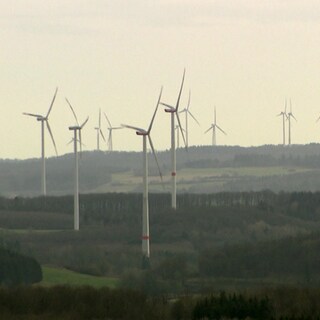 Viele Windräder stehen in einer waldigen Landschaft. In Rheinland-Pfalz soll Windkraft künftig stärker ausgebaut werden.