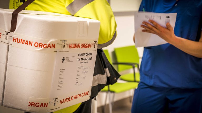 Klinikmitarbeiter nimmt gespendetes Organ entgegen.
