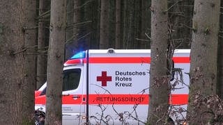 Rettungswagen hinter Bäumen nach Unfall eines Mannes beim Aufräumen nach Sturmschäden durch "Sabine"