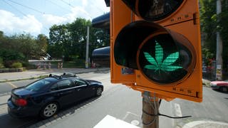 Experten fordern Reform des Cannabis-Grenzwertes bei Autofahrern