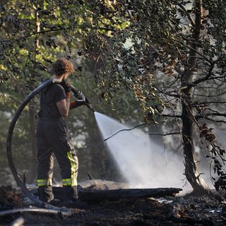 insatzkräfte der freiwilligen Feuerwehr löschen einen Waldbrand bei Elmstein im Kreis Bad Dürkheim.
