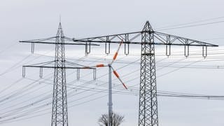 Dreyer: Staat soll Regulierung des Strompreises prüfen