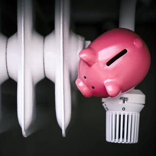 Ein rosa Sparschwein steht auf einer Heizung. Die Bundesregierung hat in einer neuen Energiesparverordnung Sparmaßnahmen beschlossen.
