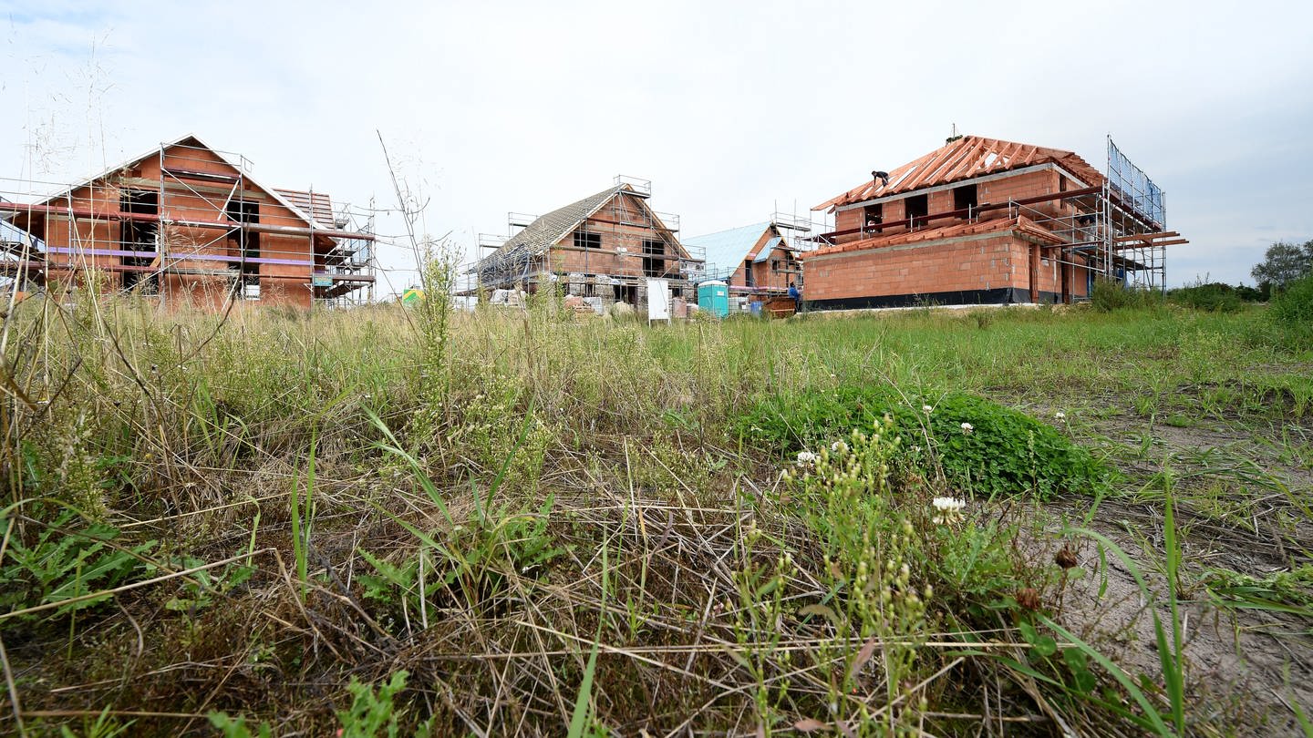 Weil die Europäische Zentralbank den Leitzins angehoben hat, steigen auch die Zinssätze für Darlehen wie Immobiliendarlehen. Die Zinsen für Hypotheken-Darlehen haben sich in diesem Jahr verdreifacht und könnten weiter steigen. Bei Bausparverträgen steigen die Zinsen nicht so schnell an, weswegen sie aktuell wieder attraktiv sein können.