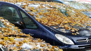 Ein Auto ist mit abgefallenen gelben Lindenblättern übersät - der November startet feucht und grau in Rheinland-Pfalz.