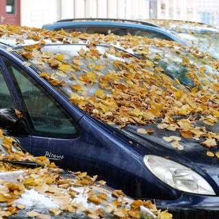 Ein Auto ist mit abgefallenen gelben Lindenblättern übersät - der November startet feucht und grau in Rheinland-Pfalz.