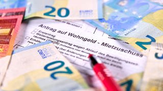 In Rheinland-Pfalz rechnet man wegen der gestiegenen Energiekosten mit mehr Anträgen auf Wohngeld. Das Personal, um diese Anträge zu verarbeiten, ist jedoch knapp. 