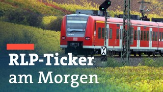 Ein Zug in den Weinbergen in Rheinland-Pfalz