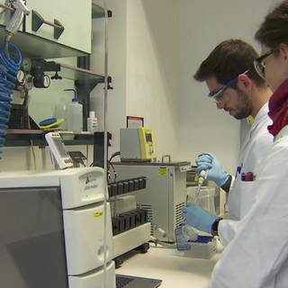 Wissenschaftler im Labor