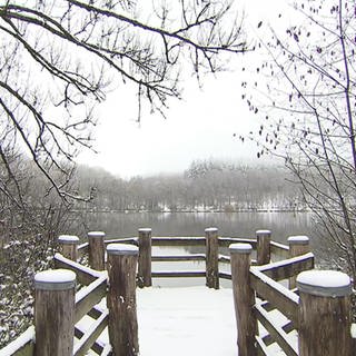 Schnee in Gillenfeld